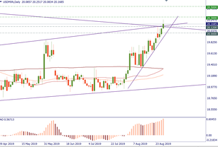 USD/MXN has reached the key area