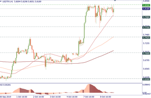 USD/TRY: there may be a correction