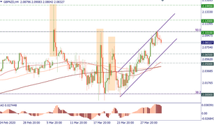 GBP or NZD: which currency has potential?