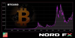 Forex and Cryptocurrencies Forecast for December 11 – 15, 2023