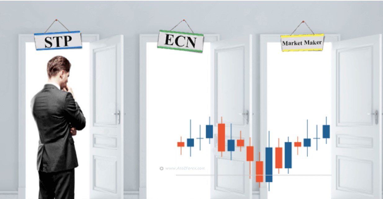 ECN Comparison