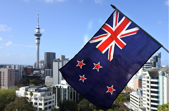 New Zealand Forex Brokers